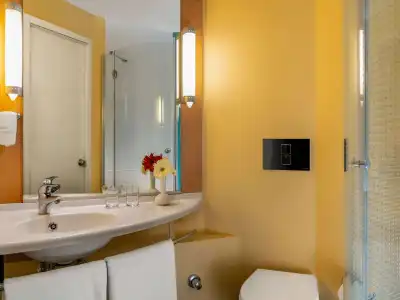 ibis Bursa - 27