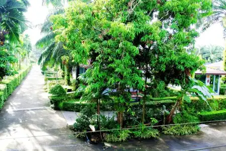 The Neenlawat Riverside Resort & Spa - 126