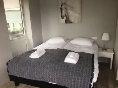 Reykjadalur Guesthouse - 4