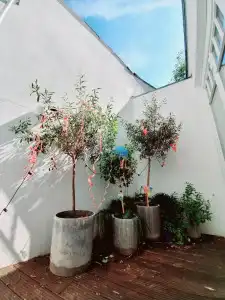 MAISON MARSIL Boutique - 14