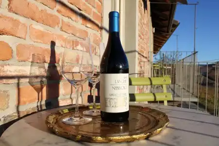 Red Wine Camere - 49