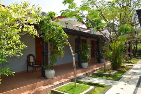 Green Garden - 26