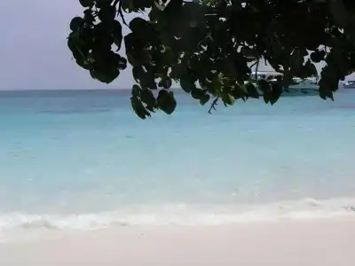 Similan - 23