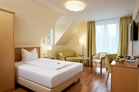 Flair Schwanen - 30