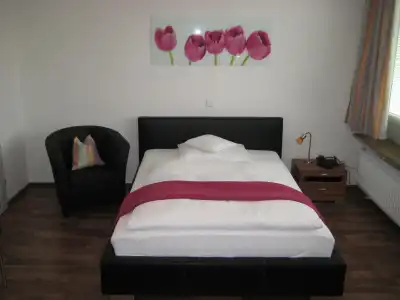 Neu Heidelberg - Guesthouse & Apartments - 4