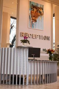 Lion - 1