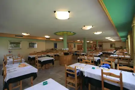 X Alp - 14