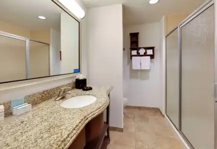 Hampton Inn & Suites Dallas-Arlington-South - 5