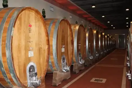 Cordella in Montalcino Wine Resort - 31