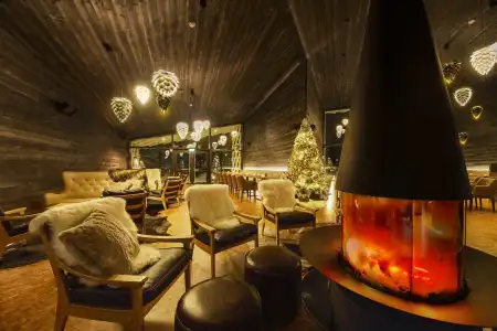 Arctic TreeHouse - 13