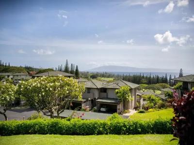 Kapalua Villas Maui - 256