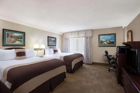 Ramada by Wyndham Denver Downtown - 14