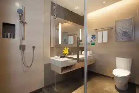 Holiday Inn Suzhou Huirong Plaza by IHG - 104