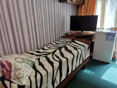 Petrovskaya Pristan 2 Guest House - 5