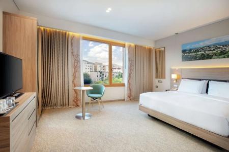 Hilton Garden Inn Tirana - 65
