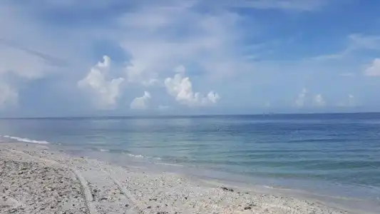 Casey Key Resort - Gulf Shores - 49
