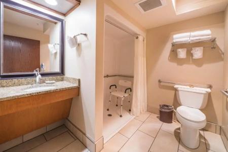 Best Western Plus GranTree Inn - 61