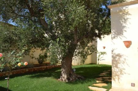 Dimore del Roseto - 41