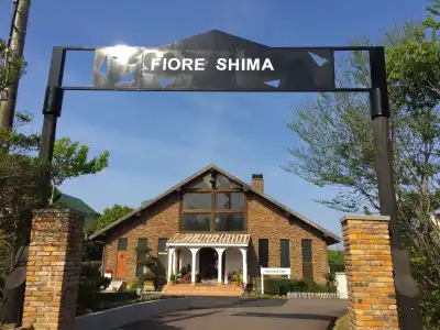 Fiore Shima - 0