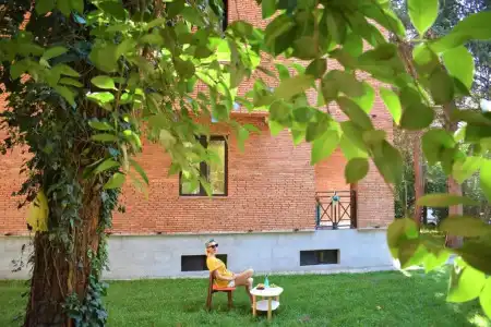 Bliss - 8