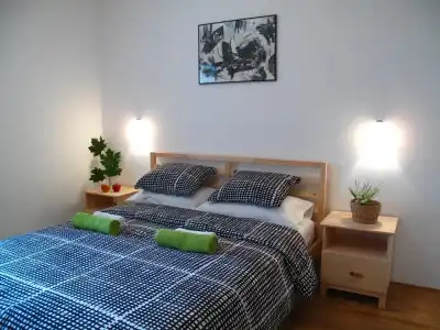 Guesthouse Bor - 17