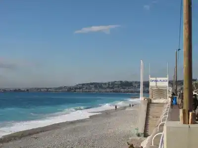 Mercure Nice Marche aux Fleurs - 8