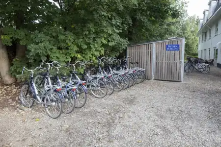 Fletcher-Restaurant Het Veluwse Bos - 25