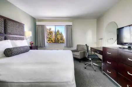 Maple Tree Inn - 24