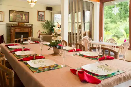 Aloha Junction Bed and Breakfast -Minutes Away from Hawaii Volcanoes National Park - 15