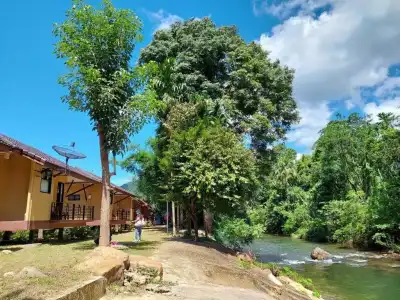 Khaosok Rainforest Resort - 141
