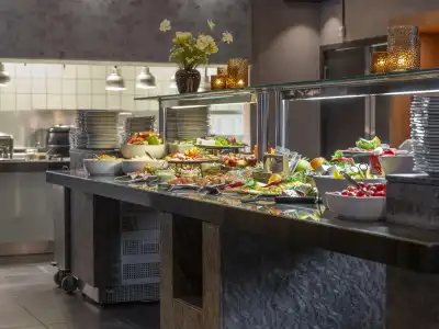 Radisson Blu Resort, Trysil - 8