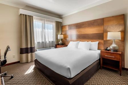Comfort Inn & Suites Durango - 56
