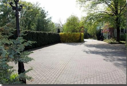 Gasthaus & Grünhof - 12