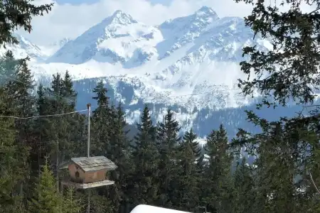 Arlenwald - 56