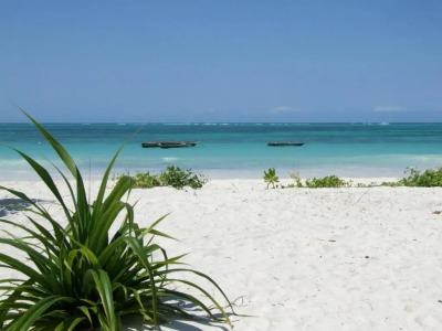 Next Paradise Boutique Resort - 19