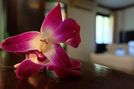 Lanta Mermaid Boutique House - 122