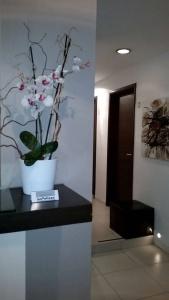InnVatican Guest House - 11
