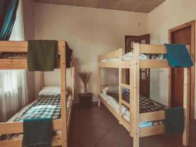 Downtown Forest Hostel & Camping - 27
