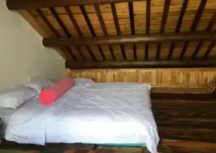 Begonia Flowers Guesthouse - 2