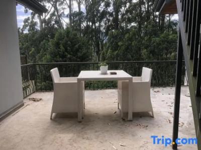 Panorama Green View - 83