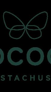 Cocoon Stachus - 30