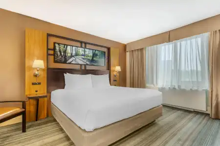 Best Western Queens Gold Coast - 40