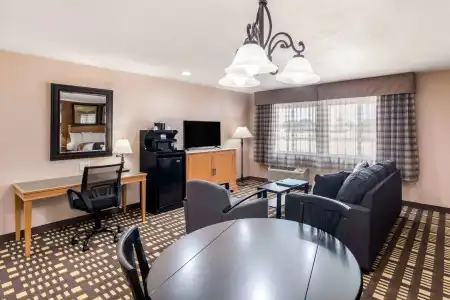 Quality Inn & Suites Plano East - Richardson - 16