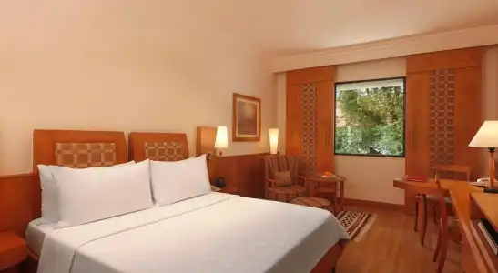 Trident, Chennai - 17
