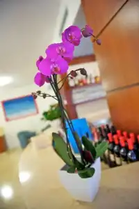 Garni Orchidea - 2