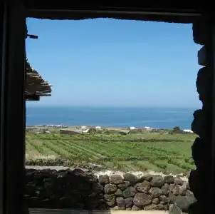Agriturismo Zibibbodoro - 74