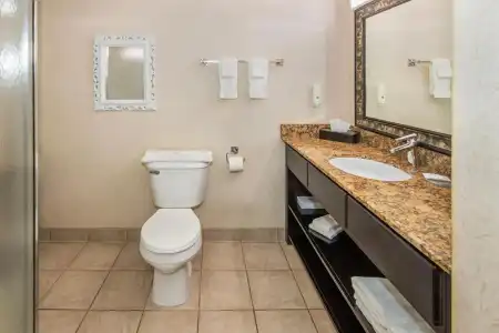 Quality Inn And Suites Lethbridge - 28