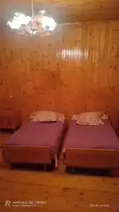 Shaulini - 58