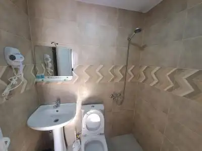 Guest House Akhaltsikhe - 100