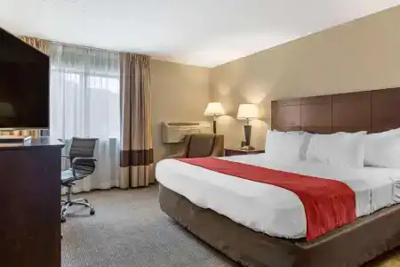 Comfort Inn Lansing West - 35